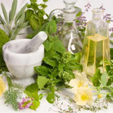 Plantele si beneficiile lor Plantele si beneficiile lor